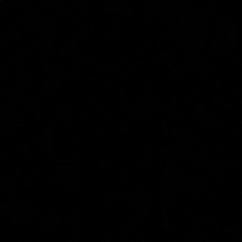 Meet your Posher, Rose